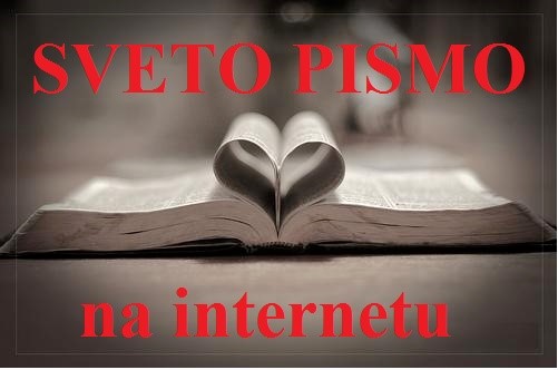 SP na internetu1